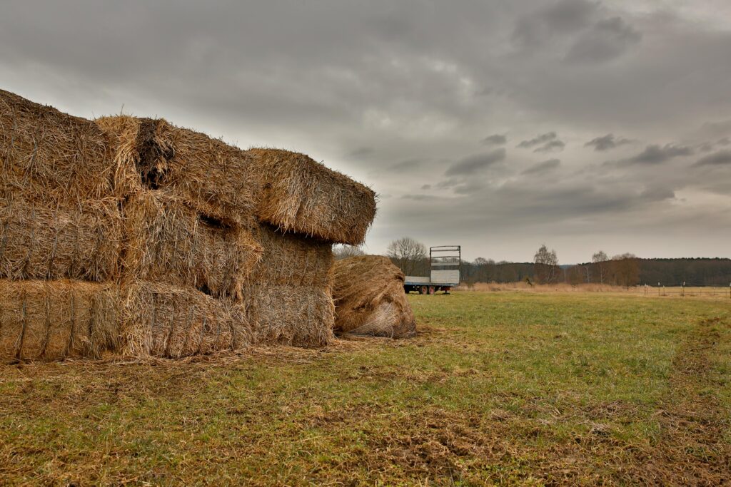 sex hay bales